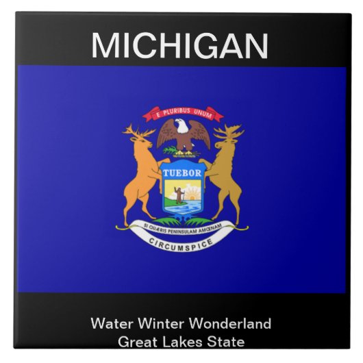 Michigan Flag Fliese (Vorderseite)
