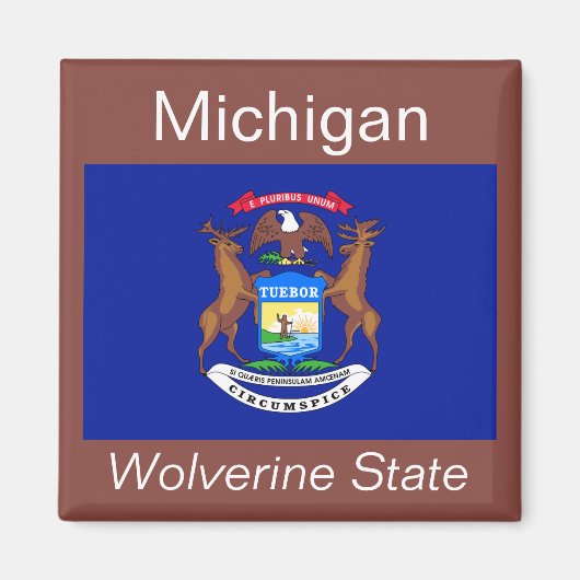 Michigan Flag Magnet (Vorne)