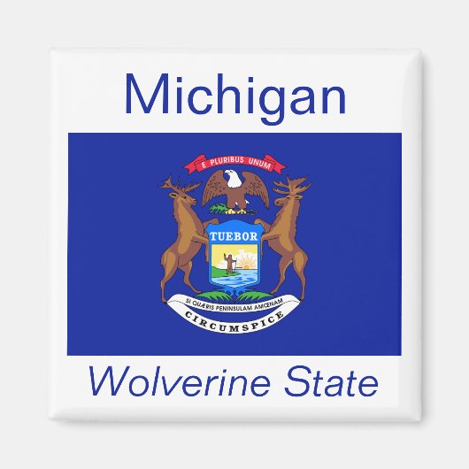 Michigan Flag Magnet (Vorne)