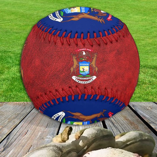 Michigan Flag, Michigan sport / Baseball Balls