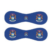 Michigan Flag, Michigan sports BL / Baseball Balls (Paneele)