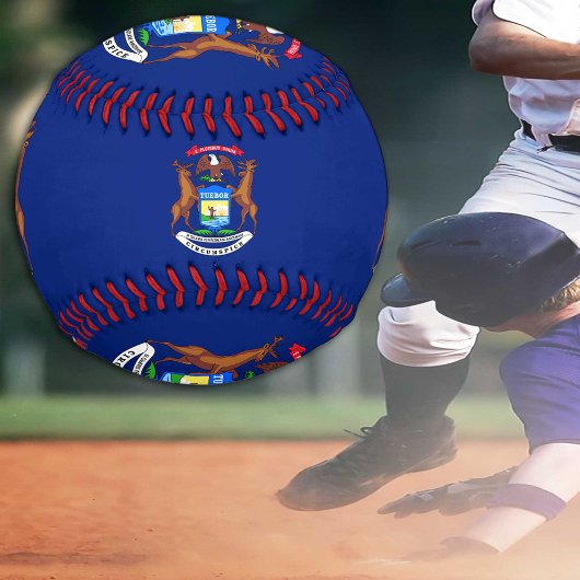 Michigan Flag, Michigan sports BL / Baseball Balls