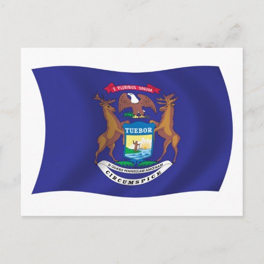 Michigan Flag Postcard Postkarte (Vorderseite)