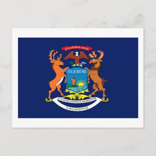 Michigan Flag Postcard Postkarte (Vorderseite)
