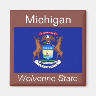 Michigan-Flaggen-Magnet Magnet
