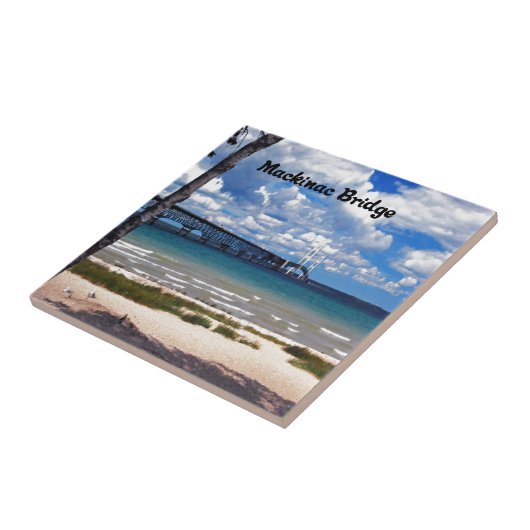 Michigan Fliese (Seite)