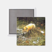 Michigan Fox Magnet (Vorderseite/Rückseite)
