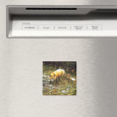 Michigan Fox Magnet (In Situ (Geschirrspüler))