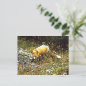 Michigan Fox Postcard Postkarte (Stehend Vorderseite)