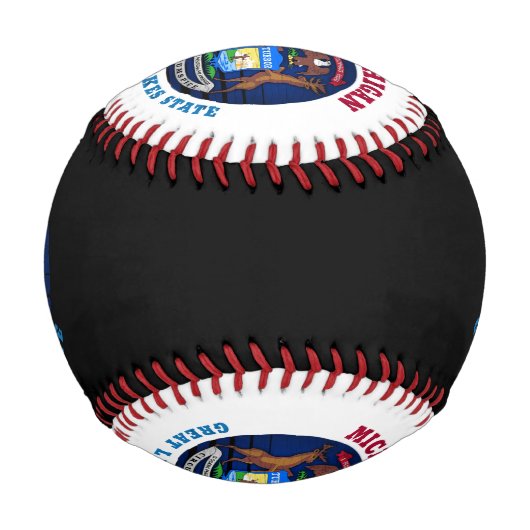 MICHIGAN GREAT SEES STAAT FLAG BASEBALL (Vorderseite)