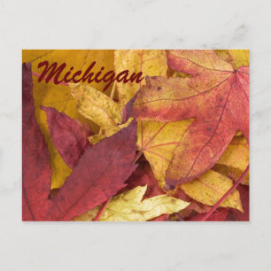Michigan Herbstlaub Postkarte