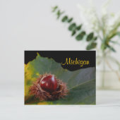 Michigan, Herbstleaf mit Nut Postcard Postkarte (Stehend Vorderseite)