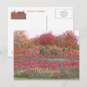 "MICHIGAN HILLSIDE AFLAME WITH FARBE" POSTKARTE (Vorne/Hinten)