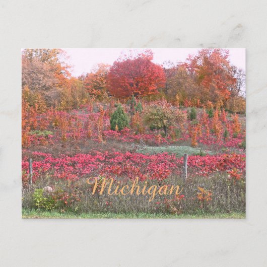"MICHIGAN HILLSIDE AFLAME WITH FARBE" POSTKARTE (Vorderseite)