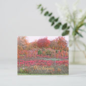 "MICHIGAN HILLSIDE AFLAME WITH FARBE" POSTKARTE (Stehend Vorderseite)