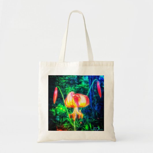 MICHIGAN LILLY HELLE TASCHE (Vorne)