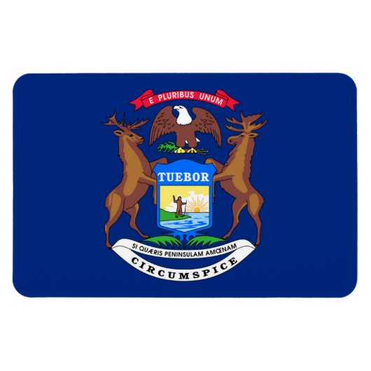 Michigan Magnet (Horizontal)