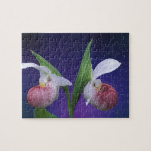 Michigan, Nationalpark auf der Halbinsel Bruce.Sch Puzzle