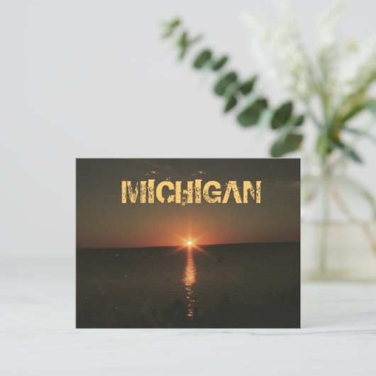 MICHIGAN NIGHT POSTCARD POSTKARTE (Stehend Vorderseite)