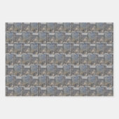 Michigan-Petoskey-Stein-Design Geschenkpapier Set (Vorderseite 2)
