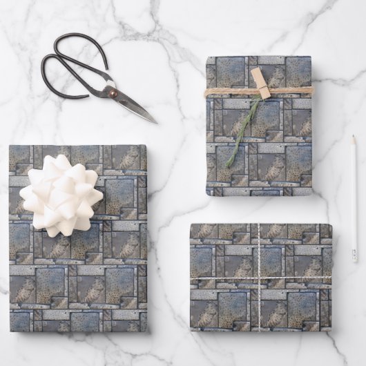 Michigan-Petoskey-Stein-Design Geschenkpapier Set (Vorderseite)