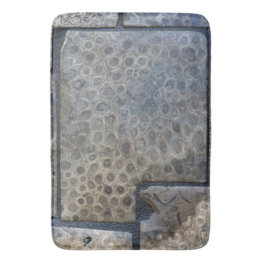 Michigan Petoskey Stone Badematte (Vorderseite Vertikal)