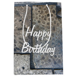 Michigan Petoskey Stone Birthday Mittlere Geschenktüte