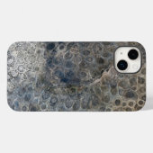 Michigan Petoskey Stone Design Case-Mate iPhone Hülle (Rückseite (Horizontal))