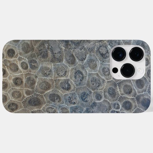 Michigan Petoskey Stone Design Case-Mate iPhone Hülle (Rückseite (Horizontal))