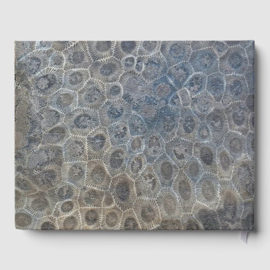 Michigan Petoskey Stone Design Gästebuch (Rückseite)