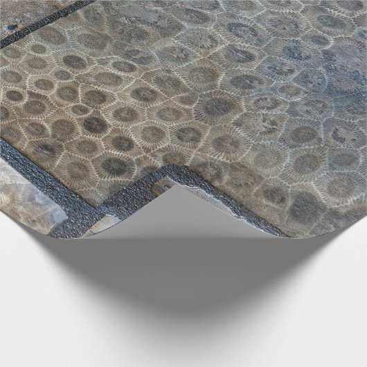Michigan Petoskey Stone Design Geschenkpapier (Ecke)