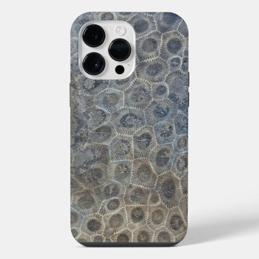 Michigan Petoskey Stone Design iPhone Hülle (Rückseite)