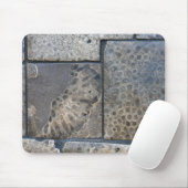Michigan Petoskey Stone Design Mousepad (Mit Mouse)