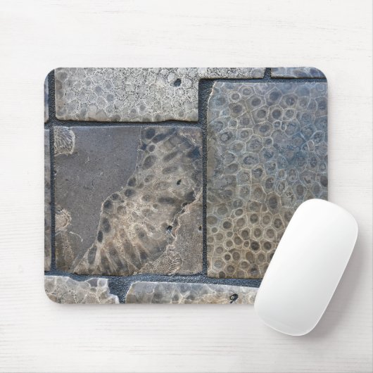 Michigan Petoskey Stone Design Mousepad (Mit Mouse)