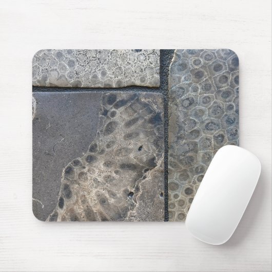 Michigan Petoskey Stone Design Stone Coaster Mousepad (Mit Mouse)