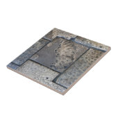 Michigan Petoskey Stone Fliese (Seite)