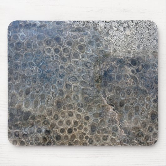 Michigan Petoskey Stone Pattern Mousepad (Vorne)