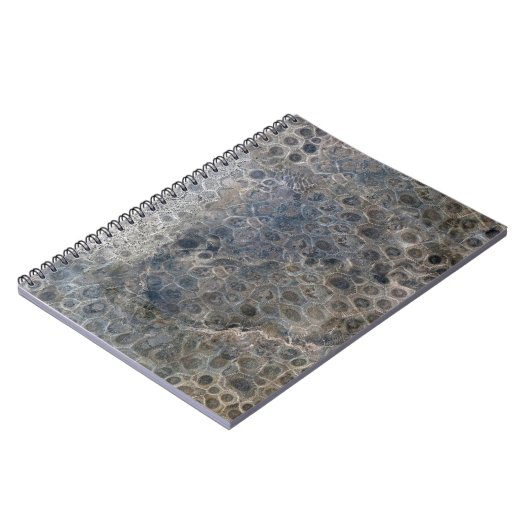 Michigan Petoskey Stone Pattern Notizblock (Linke Seite)