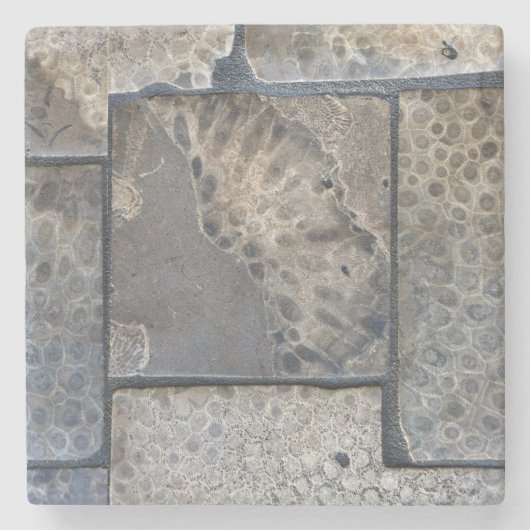 Michigan Petoskey Stone Untersetzer (Vorderseite)