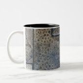 Michigan Petoskey Stone Zweifarbige Tasse (Links)