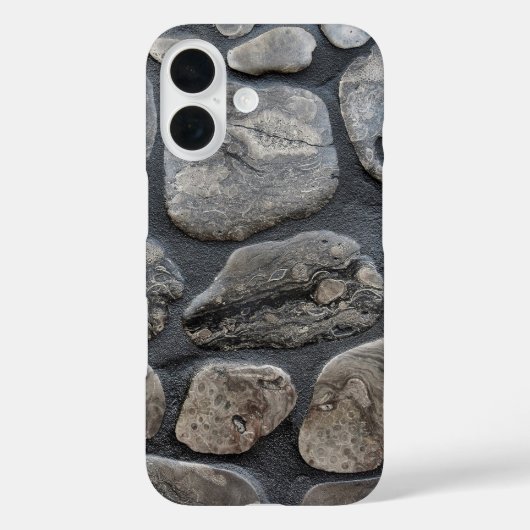 Michigan Petoskey Stones Case-Mate iPhone Hülle (Rückseite)