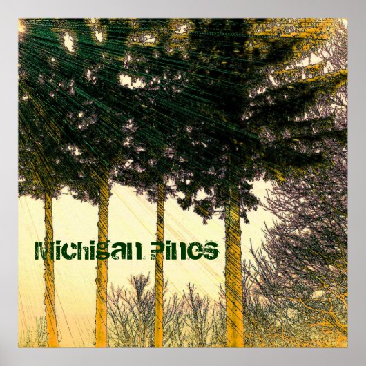 Michigan Pines Poster (Vorne)