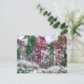 Michigan Postkarte (Stehend Vorderseite)