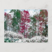 Michigan Postkarte (Vorderseite)