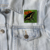 Michigan, Rochester American Eastern Black Button (Beispiel)