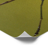 Michigan, Rochester Hills. Beten von Mantis Poster (Ecke)