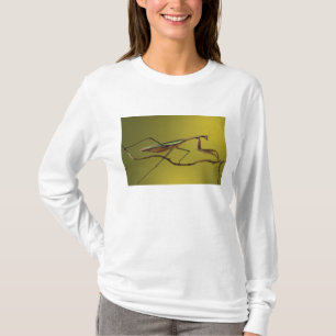 Michigan, Rochester Hills. Gottesanbeterin T-Shirt