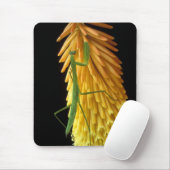 Michigan, Rochester Hills. Mantis auf Rot beten Mousepad (Mit Mouse)
