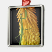 Michigan, Rochester Hills. Mantis auf Rot beten Ornament Aus Metall (Links)