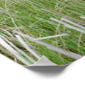 Michigan Sandhill Cranes Poster (Ecke)